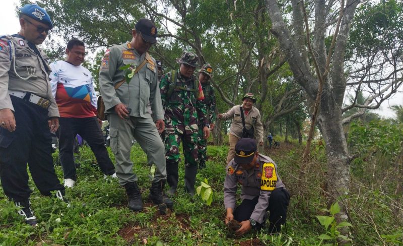 Polsek Cikelet bersama unsur Forkopimcam melakukan penanaman pohon di kawasan Pantai Gunung Geder Desa Cijambe, Kecamatan Cikelet, Kabupaten Garut, Jumat (15/11/2024)(Foto: Ist)