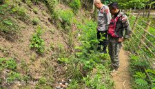 Petugas menunjukan lokasi penemuan bayi laki-laki
di semak-semak di pinggir selokan kecil di  Kampung Sasak Beusi, Desa Sindangsuka, Kecamatan Cibatu, Kabupaten Garut, Minggu (24/11/2024)(Foto: Ist)