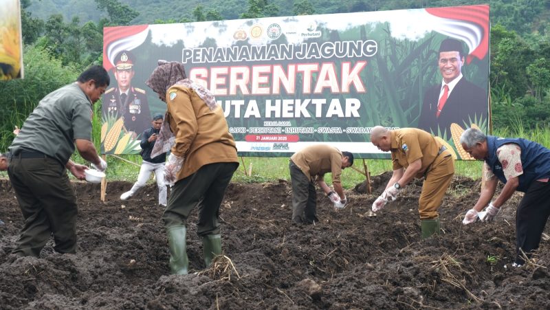 
Penanaman jagung serentak di Kabupaten Garut, yang dilaksanakan  Polres Garut di Jalan Ibrahim Adjie, Kecamatan Tarogong Kaler, Kabupaten Garut, Selasa (21/1/2025).(Foto: andre/dara)
