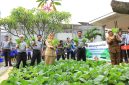 
Kepala Lapas Kelas IIA Banceuy Bandung Ronny Widiyatmoko didampingi pejabat struktural Lapas memanen sayuran di Lapas Banceuy, Bandung, Selasa (31/12/2024). (Foto: maji/dara) 
