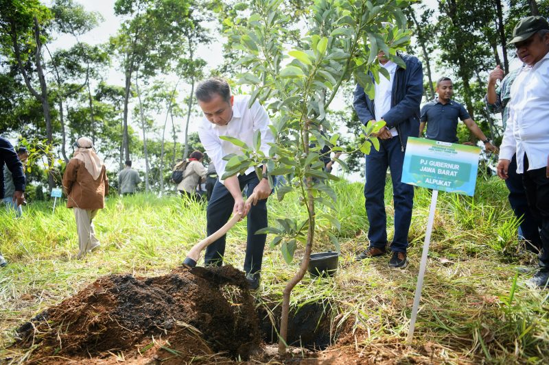 

Penjabat Gubernur Jabar Bey Machmudin menanam pohon buah di kawasan Cikanyere, Desa Pakuon, Kecamatan Sukaresmi, Kabupaten Cianjur, Kamis (2/1/2025).(Foto: biro adpim jabar)