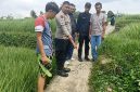 
Petugas menunjukan lokasi korban tergeletak meninggal dunia diduga tersambar petir di pinggir sawah Kampung Babakan Cikalang, Desa Rancasalak, Kecamatan Kadungora, Kabupaten Garut, abu (15/1/2025). (Foto: andre/dara).
