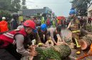 
Personel Sat Samapta Polres Garut bersama BPBD Garut mengevakuasi pohon tumbang yang menutup jalan di Jalan Raya Samarang, Kampung Cireungit, Desa Mekargalih, Kecamatan Tarogong Kidul, Kabupaten Garut, Kamis (13/3/2025) sore.(Andre/dara)
