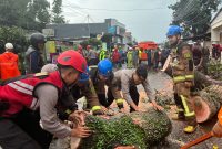 
Personel Sat Samapta Polres Garut bersama BPBD Garut mengevakuasi pohon tumbang yang menutup jalan di Jalan Raya Samarang, Kampung Cireungit, Desa Mekargalih, Kecamatan Tarogong Kidul, Kabupaten Garut, Kamis (13/3/2025) sore.(Andre/dara)
