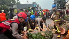 
Personel Sat Samapta Polres Garut bersama BPBD Garut mengevakuasi pohon tumbang yang menutup jalan di Jalan Raya Samarang, Kampung Cireungit, Desa Mekargalih, Kecamatan Tarogong Kidul, Kabupaten Garut, Kamis (13/3/2025) sore.(Andre/dara)
