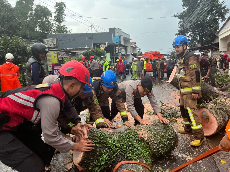 
Personel Sat Samapta Polres Garut bersama BPBD Garut mengevakuasi pohon tumbang yang menutup jalan di Jalan Raya Samarang, Kampung Cireungit, Desa Mekargalih, Kecamatan Tarogong Kidul, Kabupaten Garut, Kamis (13/3/2025) sore.(Andre/dara)
